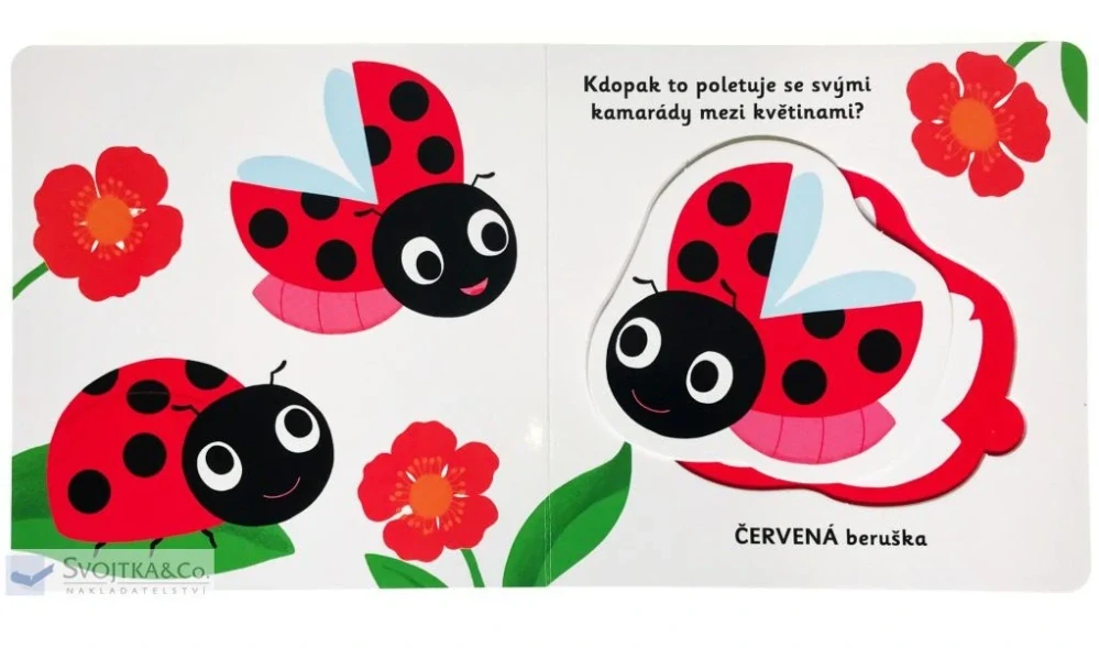 Objevujeme svět! Moje krásné barvy