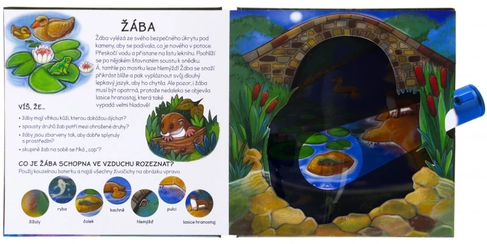 Kniha s kouzelnou baterkou - Noční zvířata