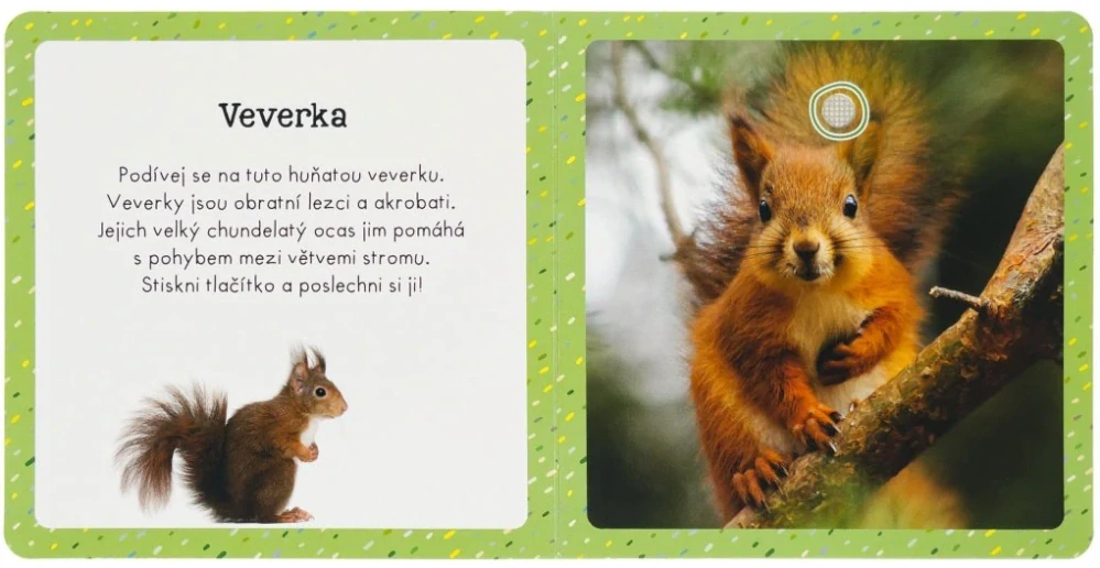 Zvuky pro nejmenší - Milovaná zvířátka