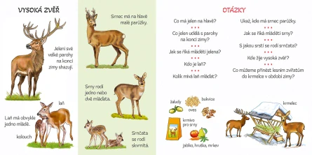 Povídej si se mnou - Naše zvířata