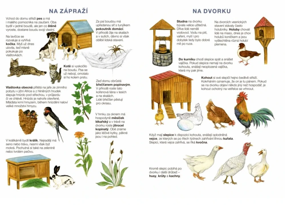 Začínáme vystřihovat - Na statku