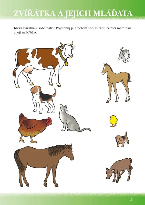 Pracovní sešit předškoláka (1)