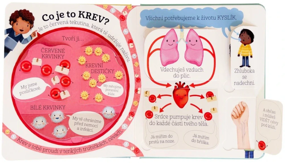 Kuk pod okénko - Co se děje v mém těle? 