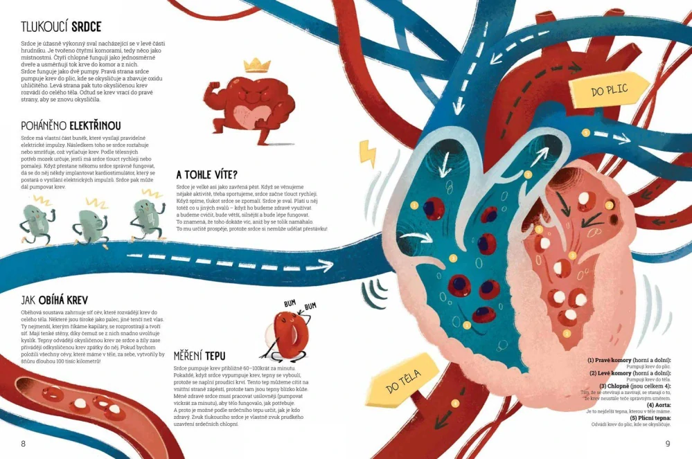 Svět zázraků - Lidské tělo