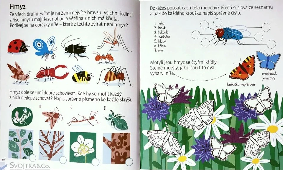 Kniha aktivit v přírodě 