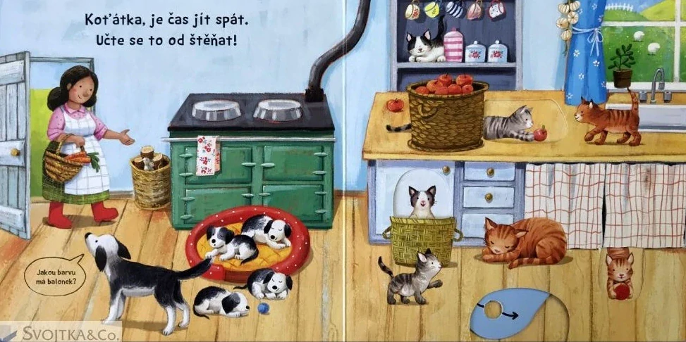 Jak to žije - Safari