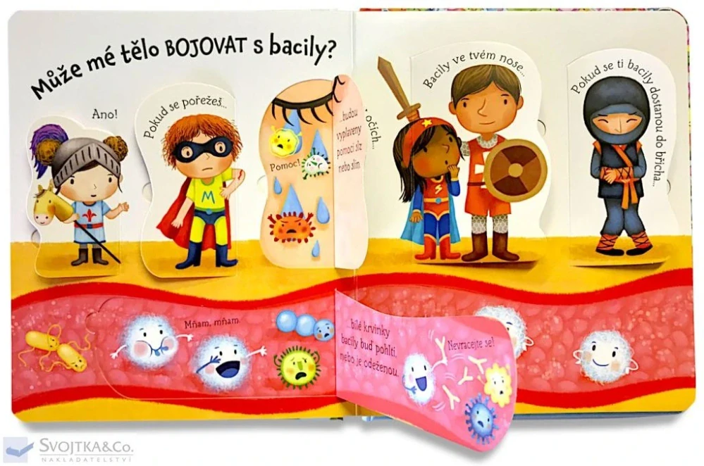 Kuk pod okénko - Co jsou to bacily?