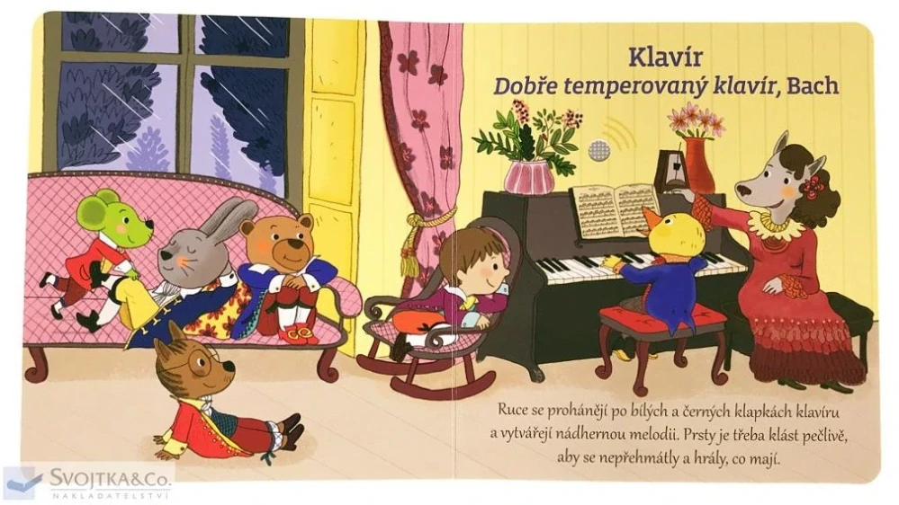 Moje klasické hudební nástroje