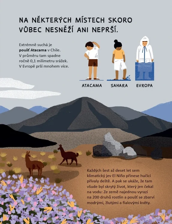 Bez vody to nejde!