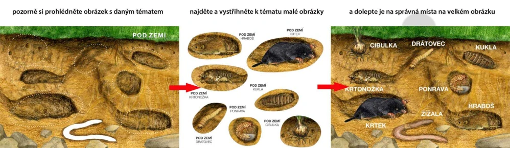 Začínáme vystřihovat - Na louce