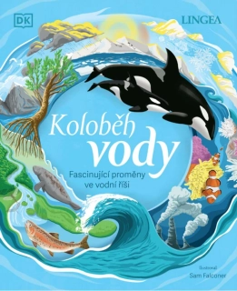Koloběh vody