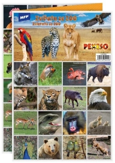 MFP Pexeso - Zvířata ze ZOO