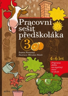 Pracovní sešit předškoláka (3)