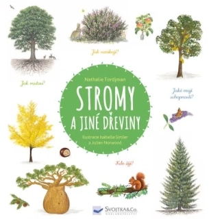 Stromy a jiné dřeviny