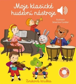  Moje klasické hudební nástroje 
