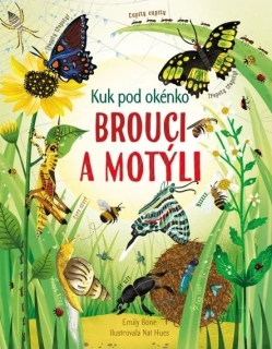 Kuk pod okénko - Brouci a motýli